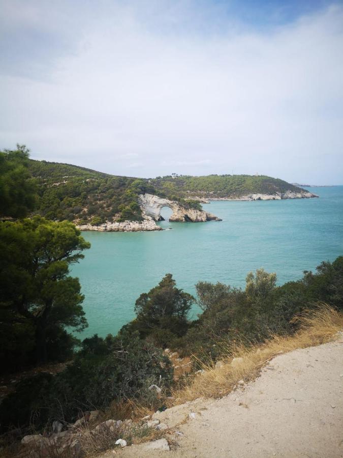 Vieste Holiday ภายนอก รูปภาพ